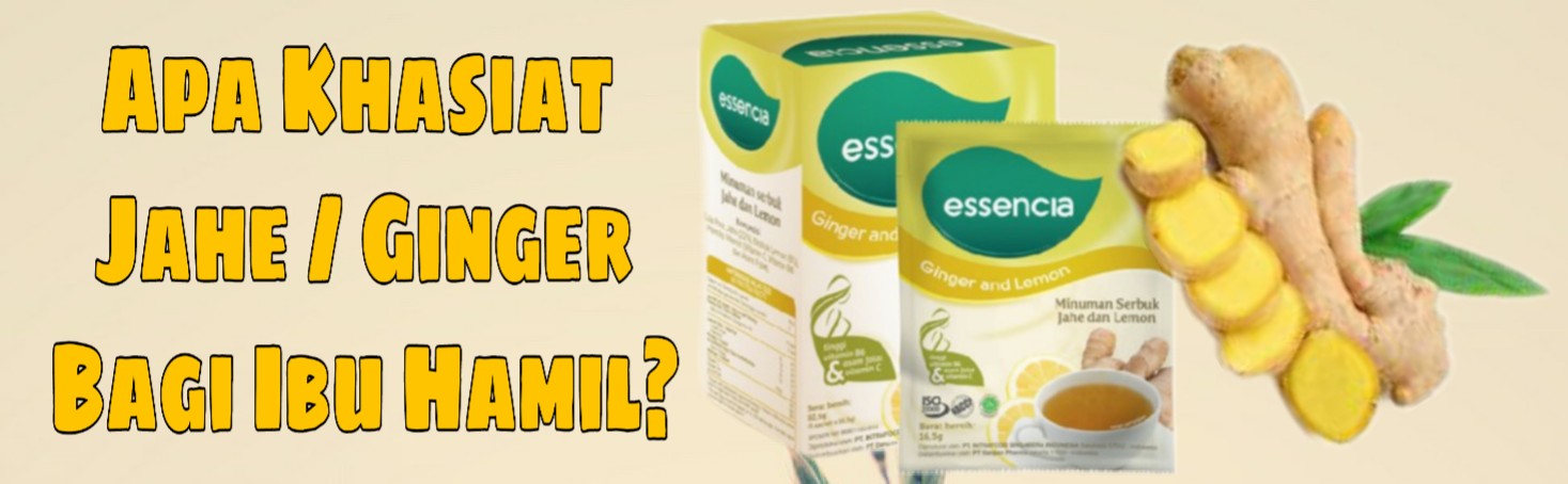 Seberapa khasiatkah Ginger / Jahe pada Ibu hamil?
