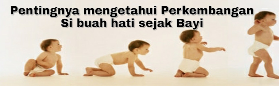 Pentingnya Mengetahui Perkembangan Si Buah Hati sejak Bayi
