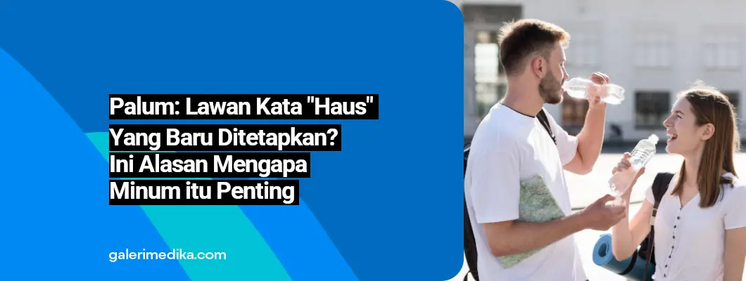 Palum: Lawan Kata Haus yang Baru Ditetapkan? Ini Alasan Mengapa Minum itu Penting