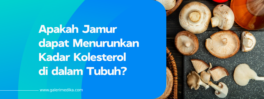 Apakah Jamur dapat Menurunkan Kadar Kolesterol di dalam Tubuh?