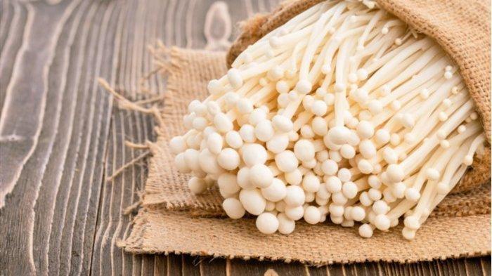 Jamur Enoki Yang Mengandung Bakteri Listeria Apakah Berbahaya?
