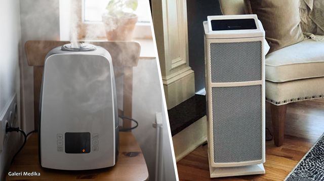 Humidifier vs Air Purifier: Mana yang Anda Butuhkan?