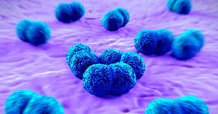 Bahaya meningitis Yang Perlu Anda Ketahui