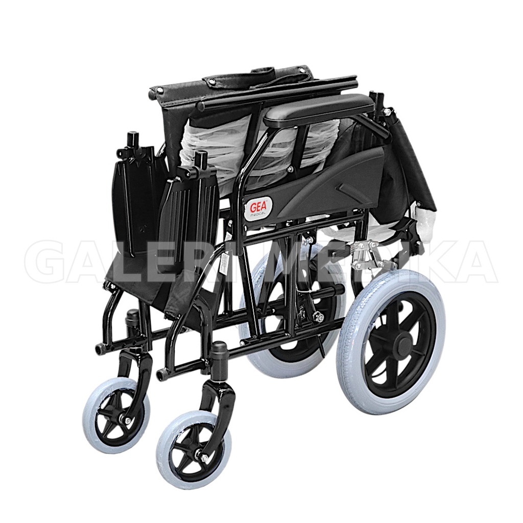 rp-gea-fs868-4.jpg
