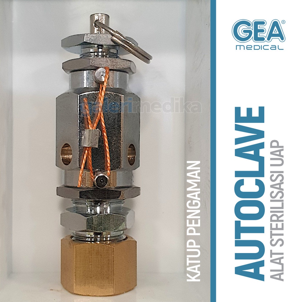 gea-autoclave-hd-2.jpg