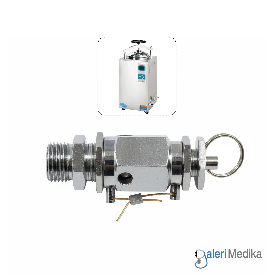 spr-gea-safety-valve-autoclave-35-100-hd-2.webp