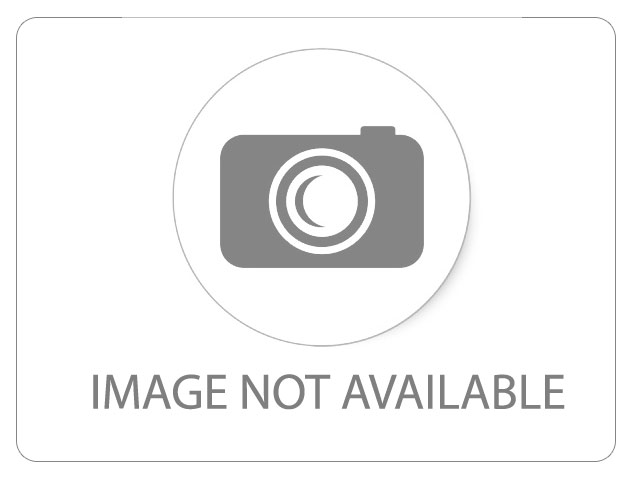 Cat Gut Plain - General Care