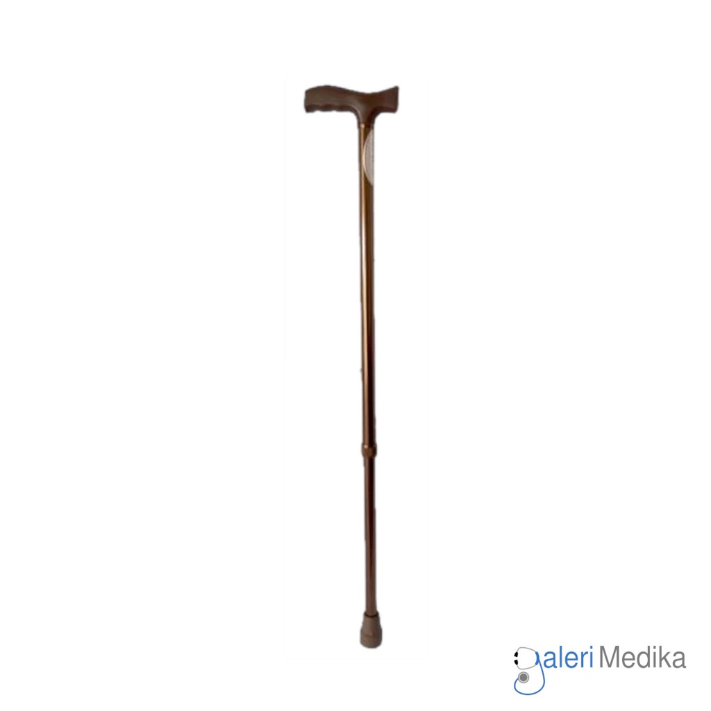 Stetoskop OneHealth Delux HS-30B1